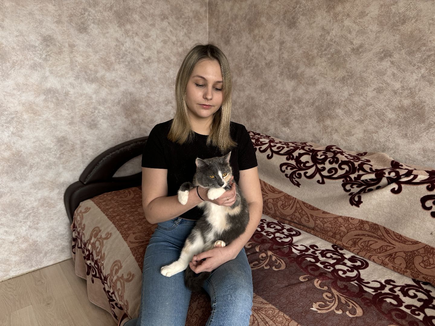 шаховская, кошка, зооволонтёр, волонтер, зоозащитник,