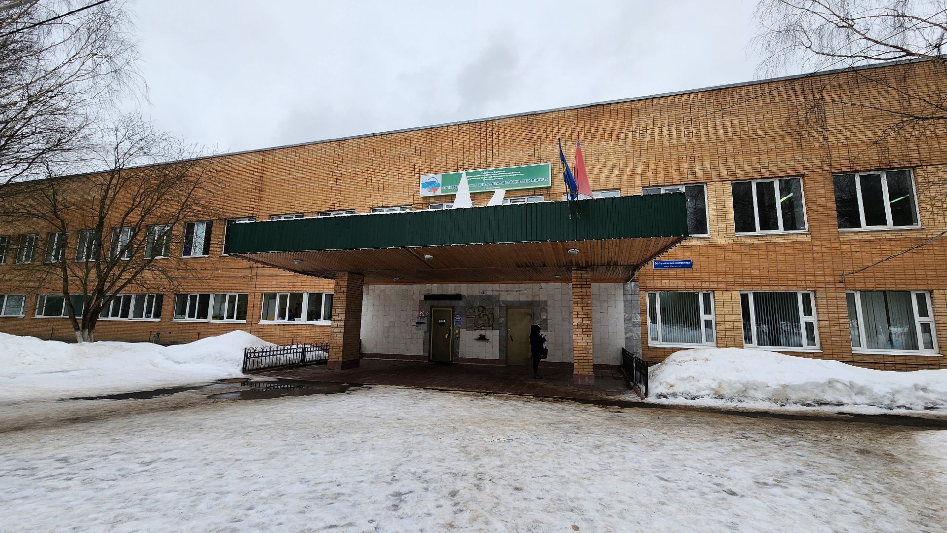 Солнечногорск, Выборы, выборы президента 2024, Голосование,