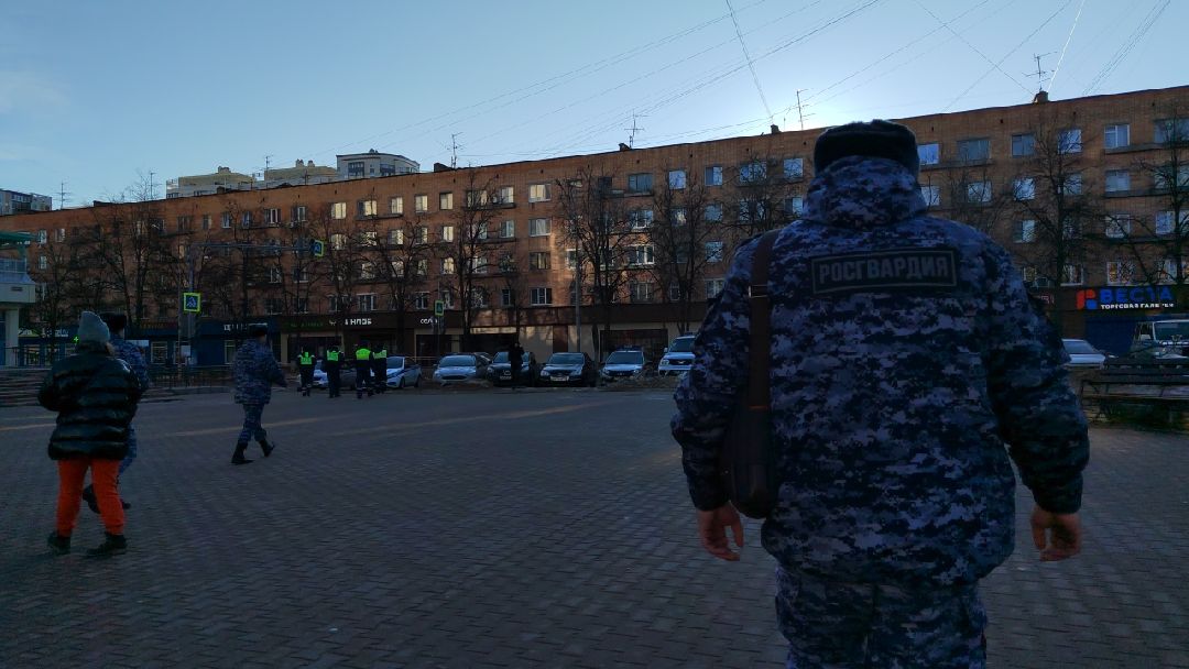 Пушкино, Пушкинский, Пушкинский округ, МВД, общество, правопорядок, полиция, росгвардия, закон
