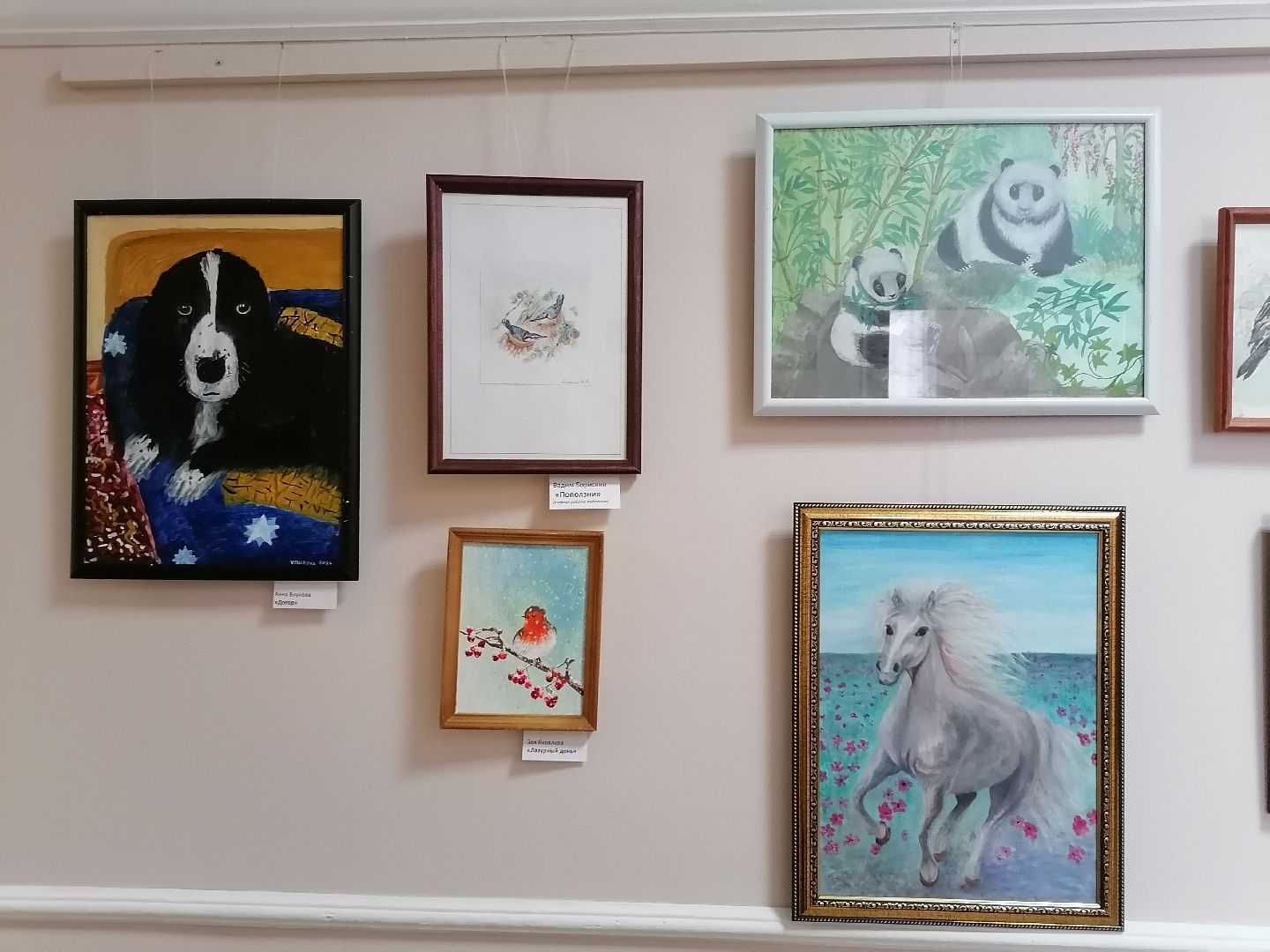 Животные, Рисунки, Картины, Дом культуры,