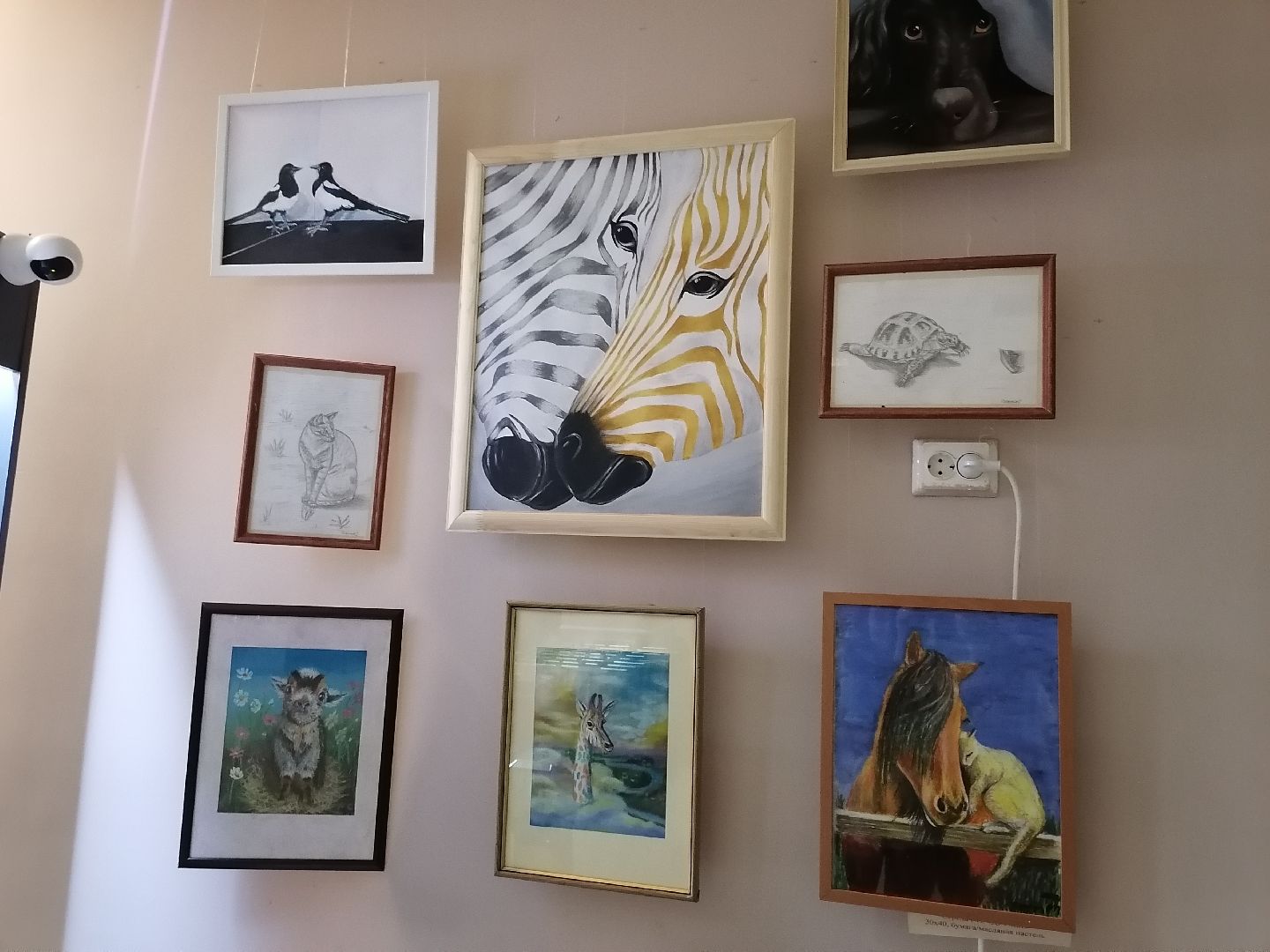Животные, Рисунки, Картины, Дом культуры,