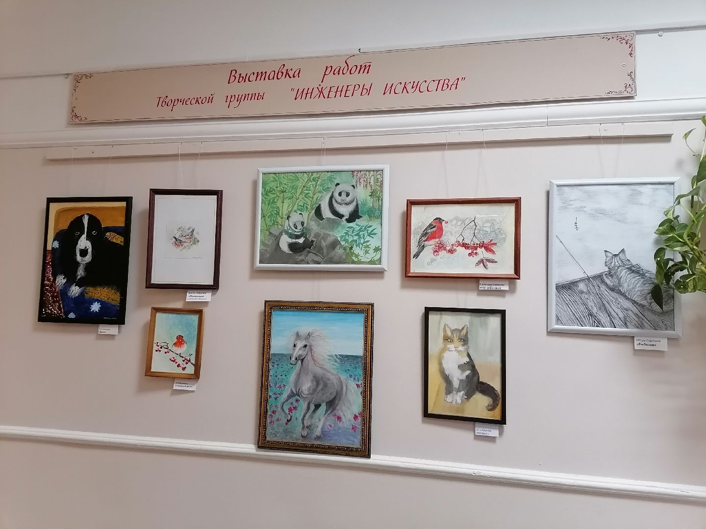 Животные, Рисунки, Картины, Дом культуры,