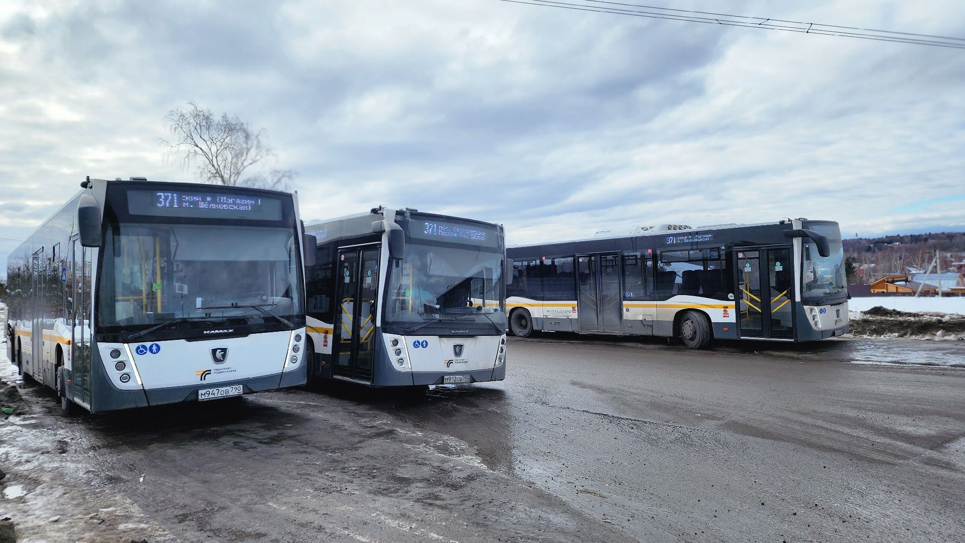 трнаспорт, общественный транспорт, мострансавто, Лосино-Петровский,