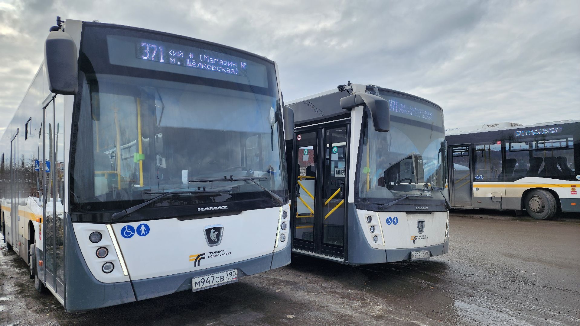 трнаспорт, общественный транспорт, мострансавто, Лосино-Петровский,