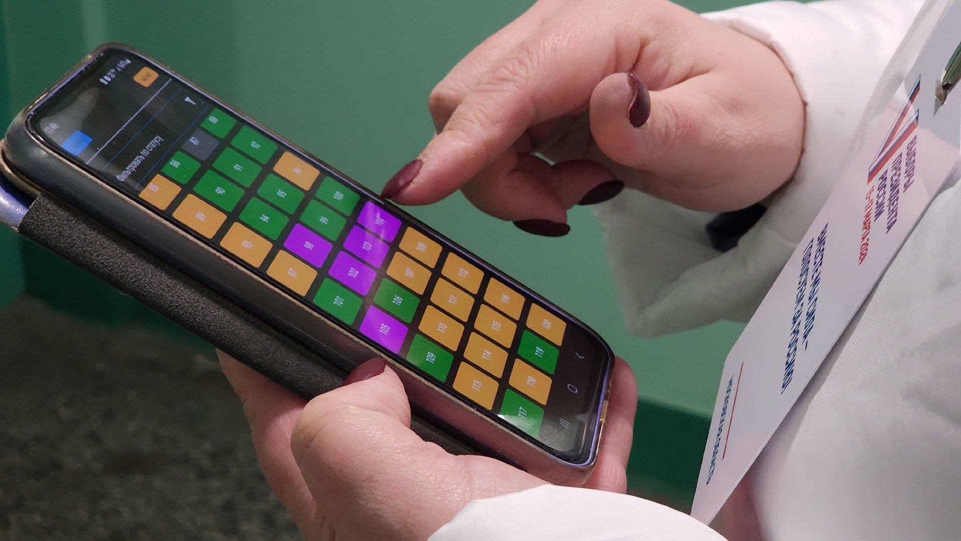 Солнечногорск, Выборы, Информаторы, выборы президента 2024,