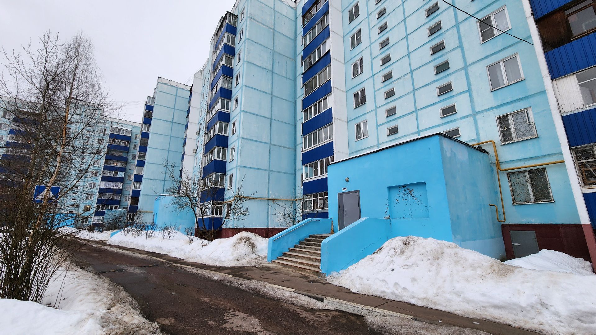 Солнечногорск, Выборы, Информаторы, выборы президента 2024,