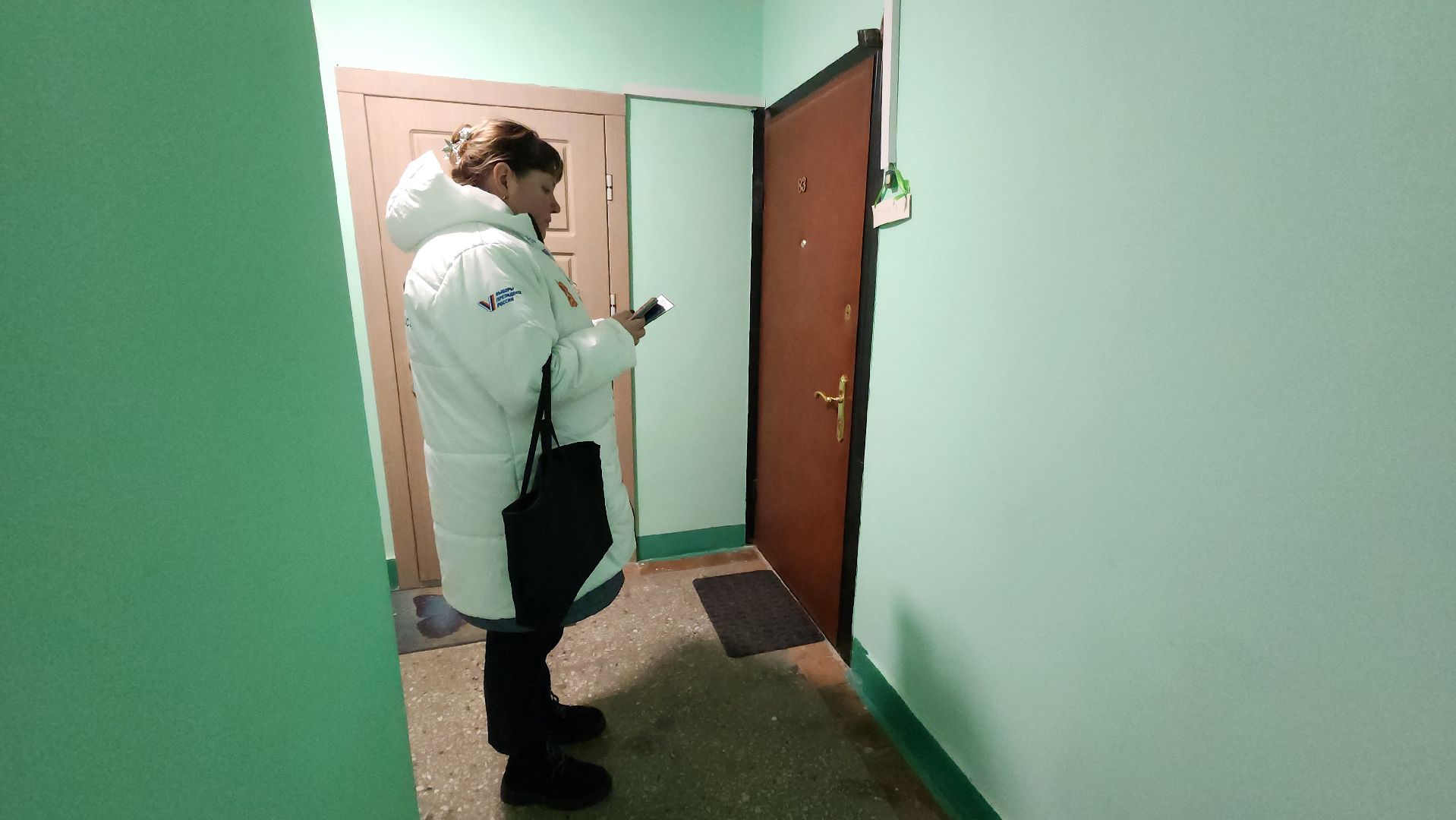 Солнечногорск, Выборы, Информаторы, выборы президента 2024,