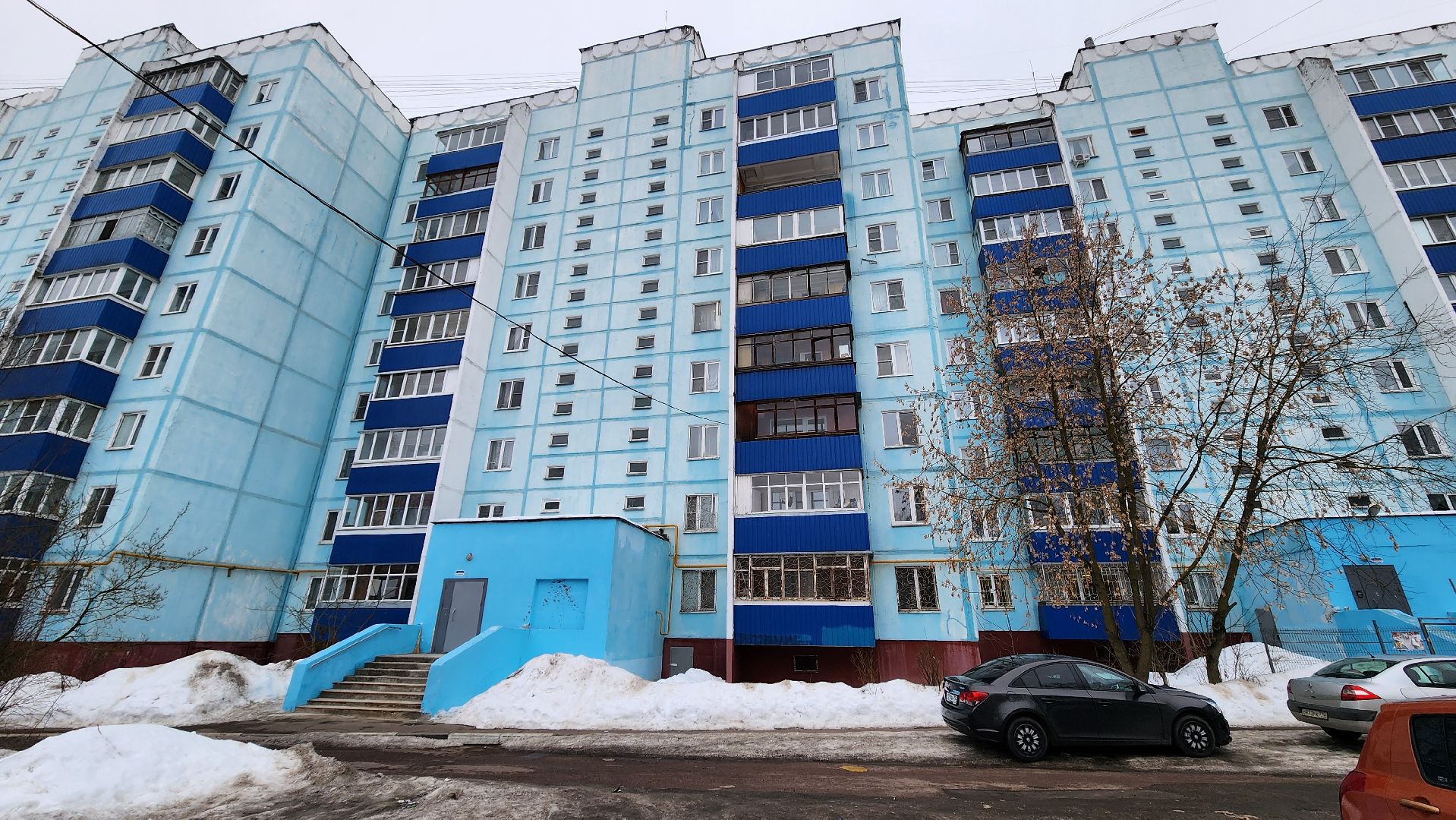 Солнечногорск, Выборы, Информаторы, выборы президента 2024,