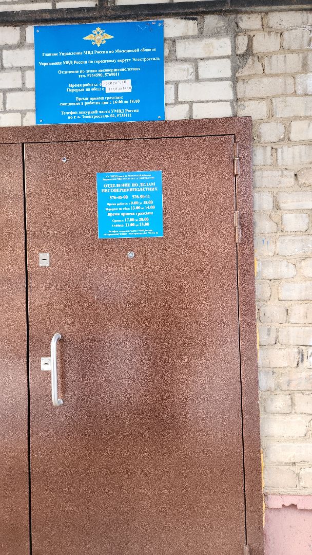 электросталь, умвд россии, мой город, жители города, 8 марта, праздник, полиция, полиция электростали, полиция россии,