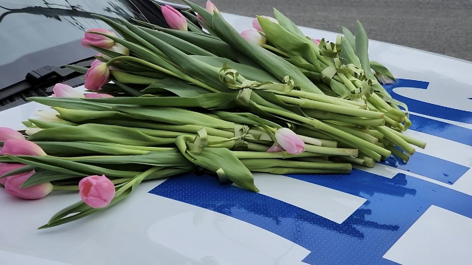 химки, транспорт, госавтоинспекция, 8 марта,