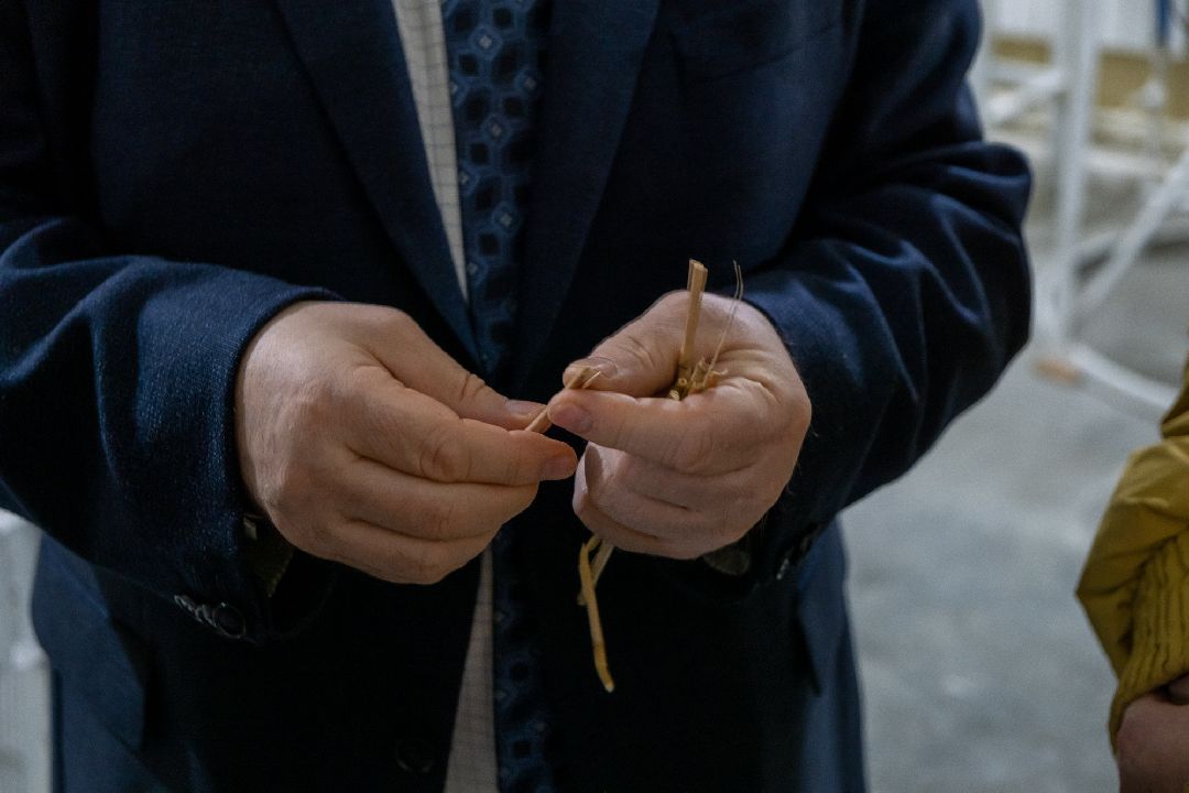 Биотехкомпозит, Ликино-Дулево, Орехово-Зуево, лаборатория, наука, мискантус, губернатор, Заголовацкий.