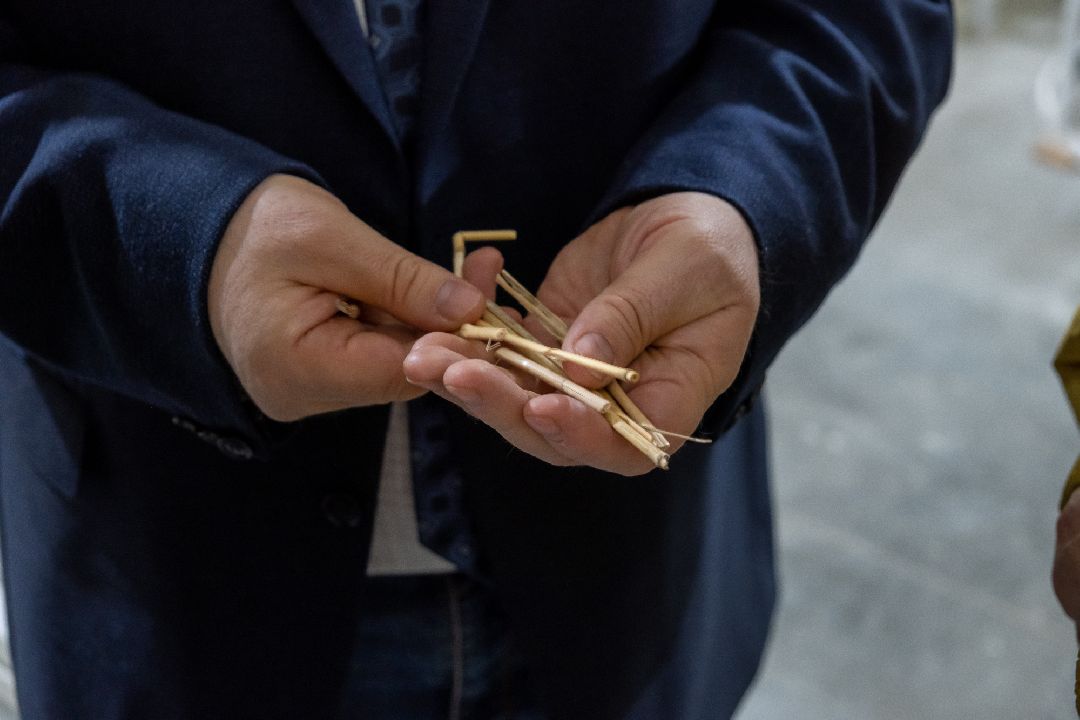 Биотехкомпозит, Ликино-Дулево, Орехово-Зуево, лаборатория, наука, мискантус, губернатор, Заголовацкий.