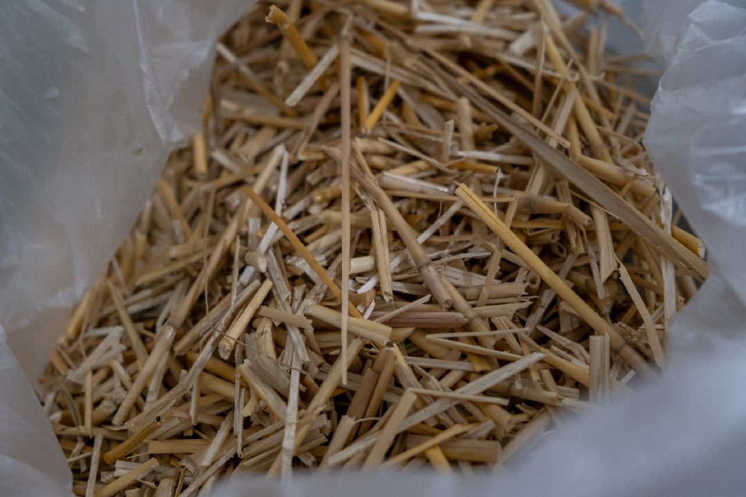 Биотехкомпозит, Ликино-Дулево, Орехово-Зуево, лаборатория, наука, мискантус, губернатор, Заголовацкий.