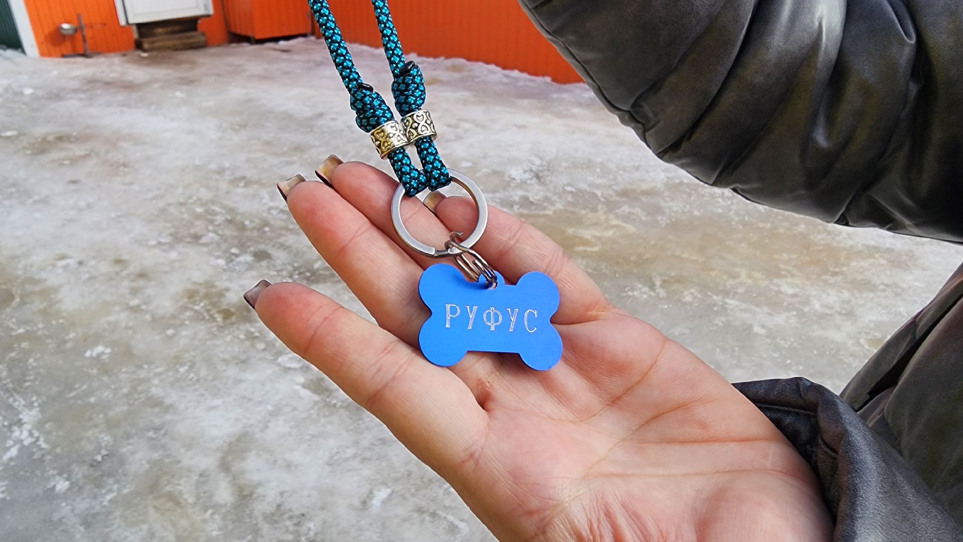 Солнечногорск, животные, благотворительность, волонтеры,