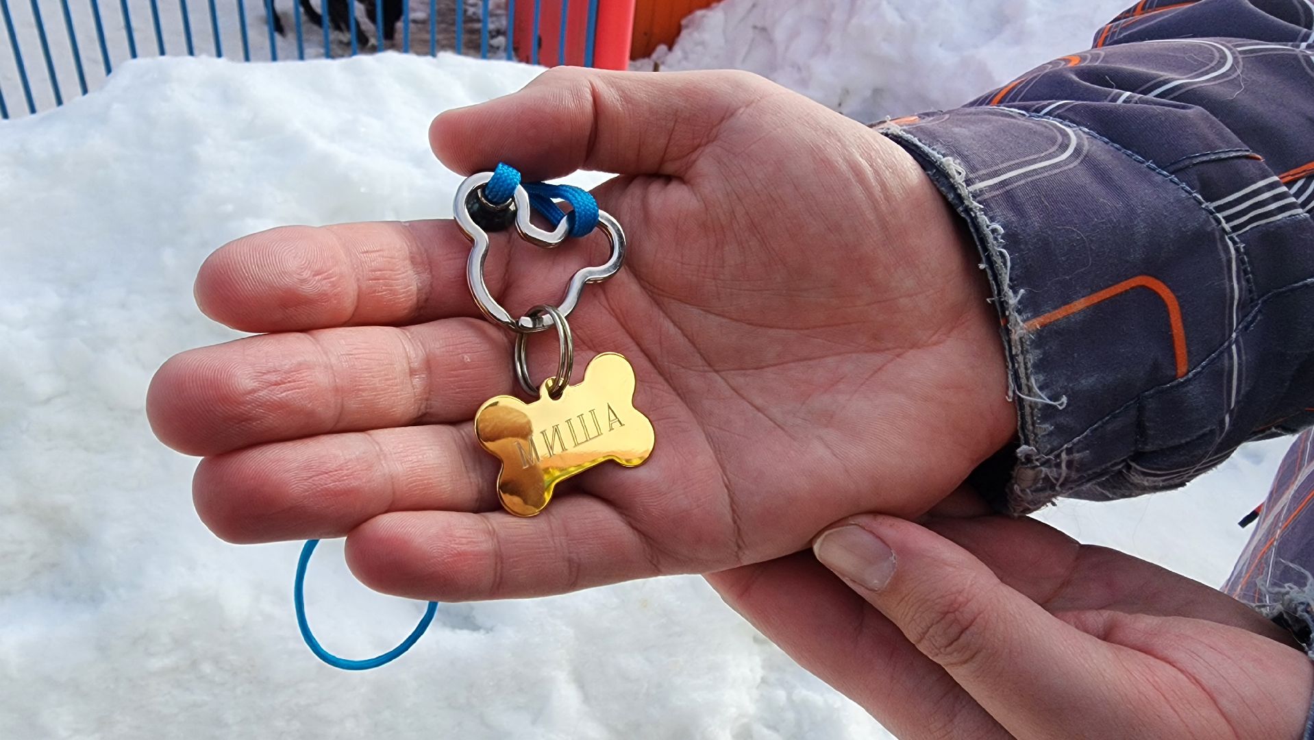 Солнечногорск, животные, благотворительность, волонтеры,