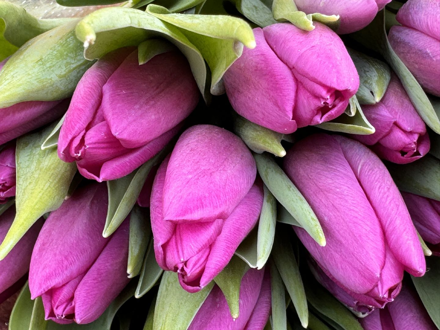 Одинцово, Цветочный базар, 8 марта,