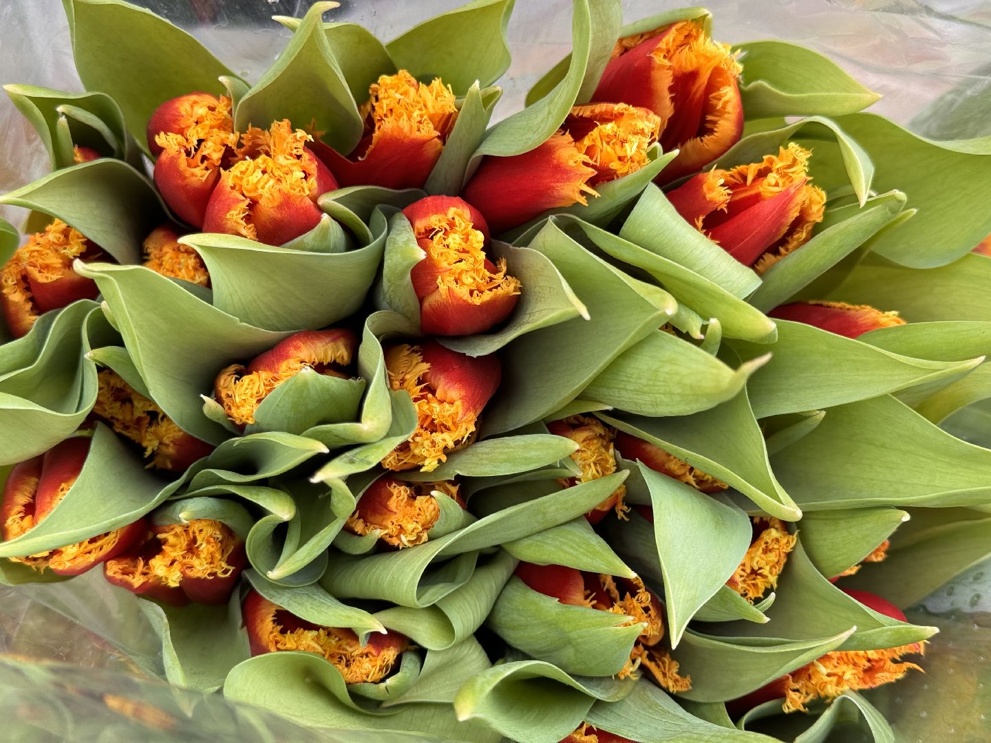 Одинцово, Цветочный базар, 8 марта,