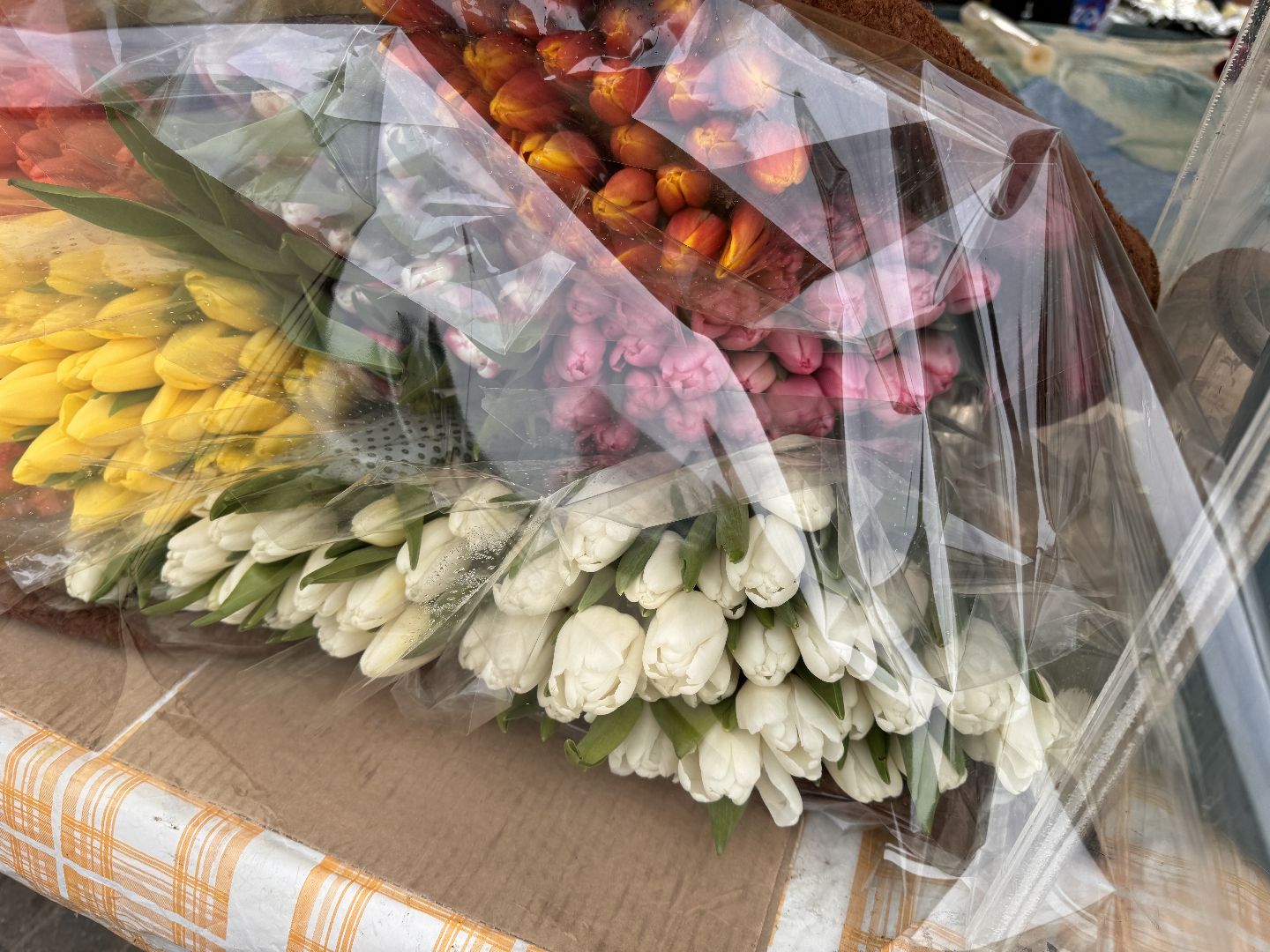 Одинцово, Цветочный базар, 8 марта,