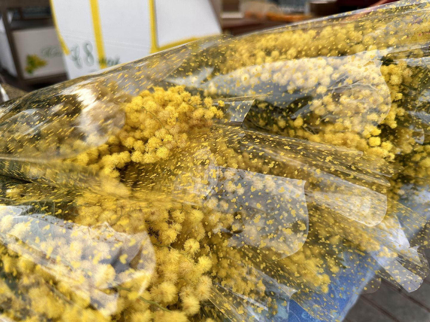 Одинцово, Цветочный базар, 8 марта,