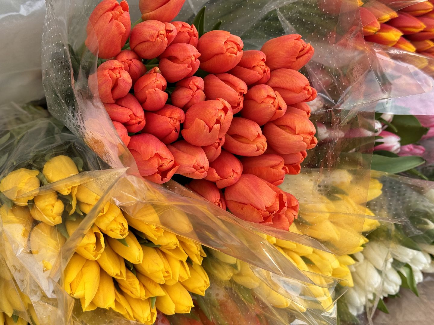 Одинцово, Цветочный базар, 8 марта,