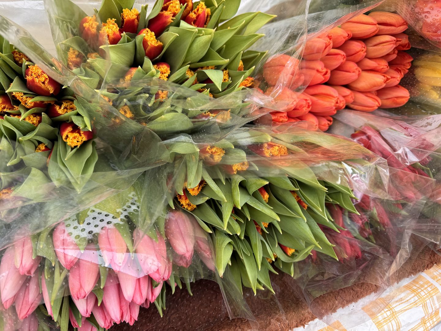 Одинцово, Цветочный базар, 8 марта,