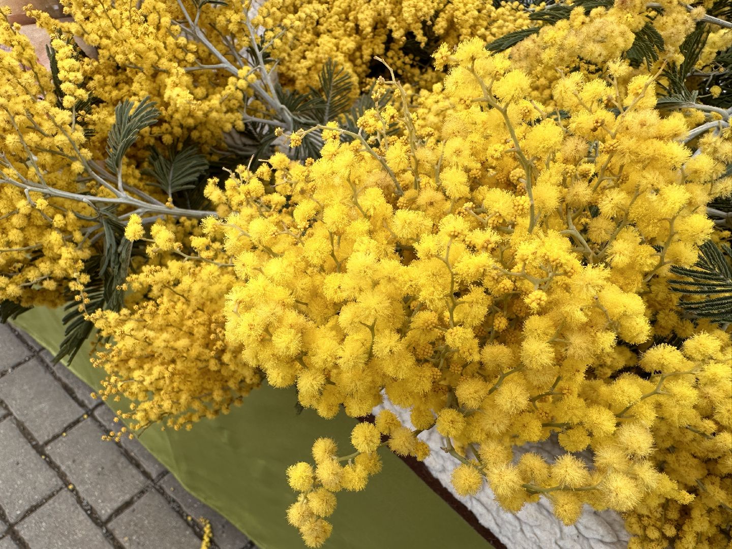 Одинцово, Цветочный базар, 8 марта,