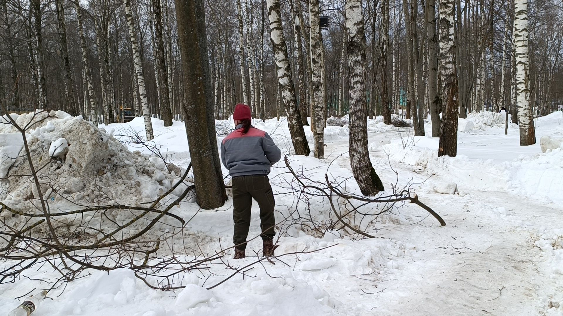 парк, реконструкция, лобня,