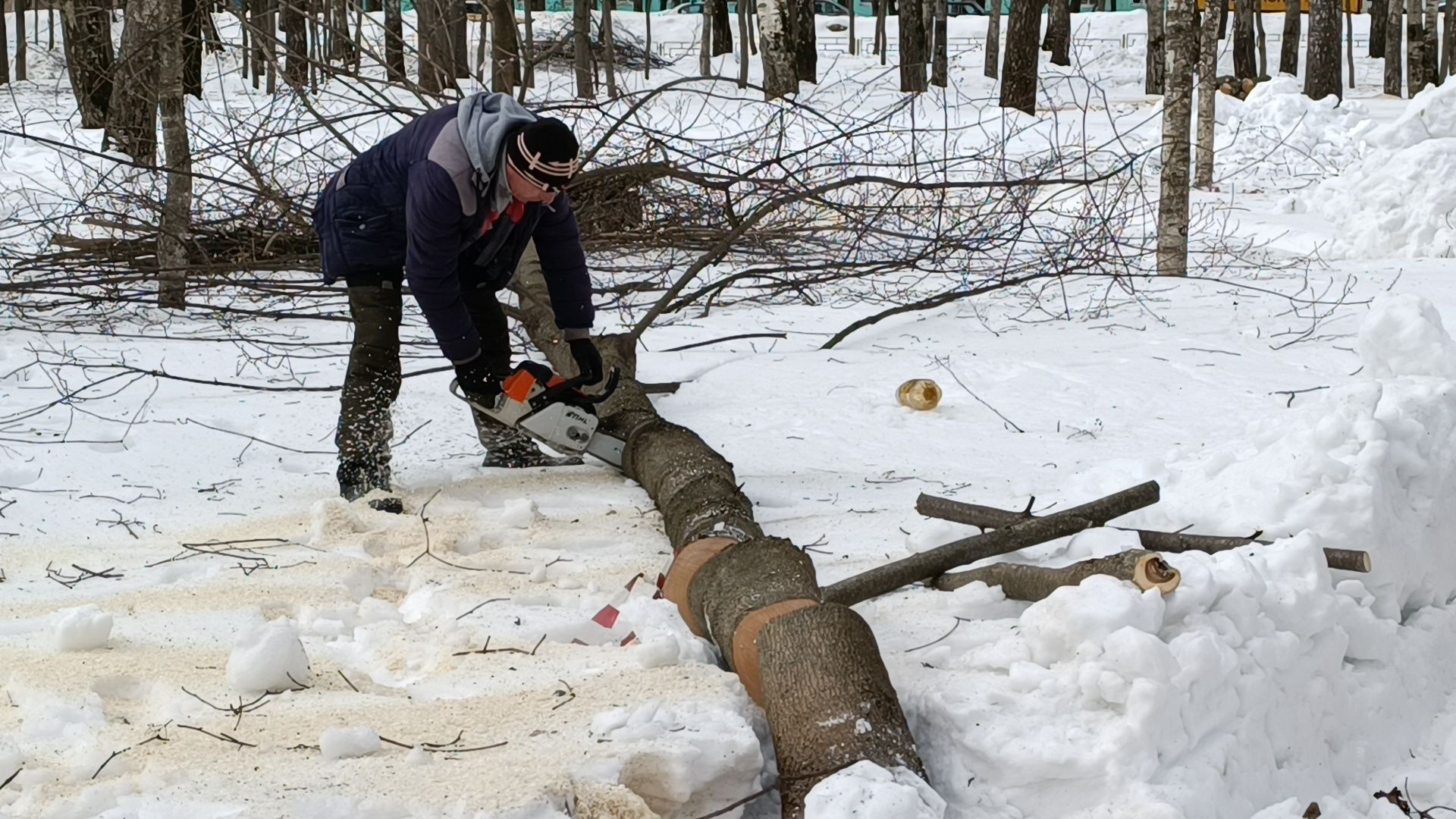 парк, реконструкция, лобня,