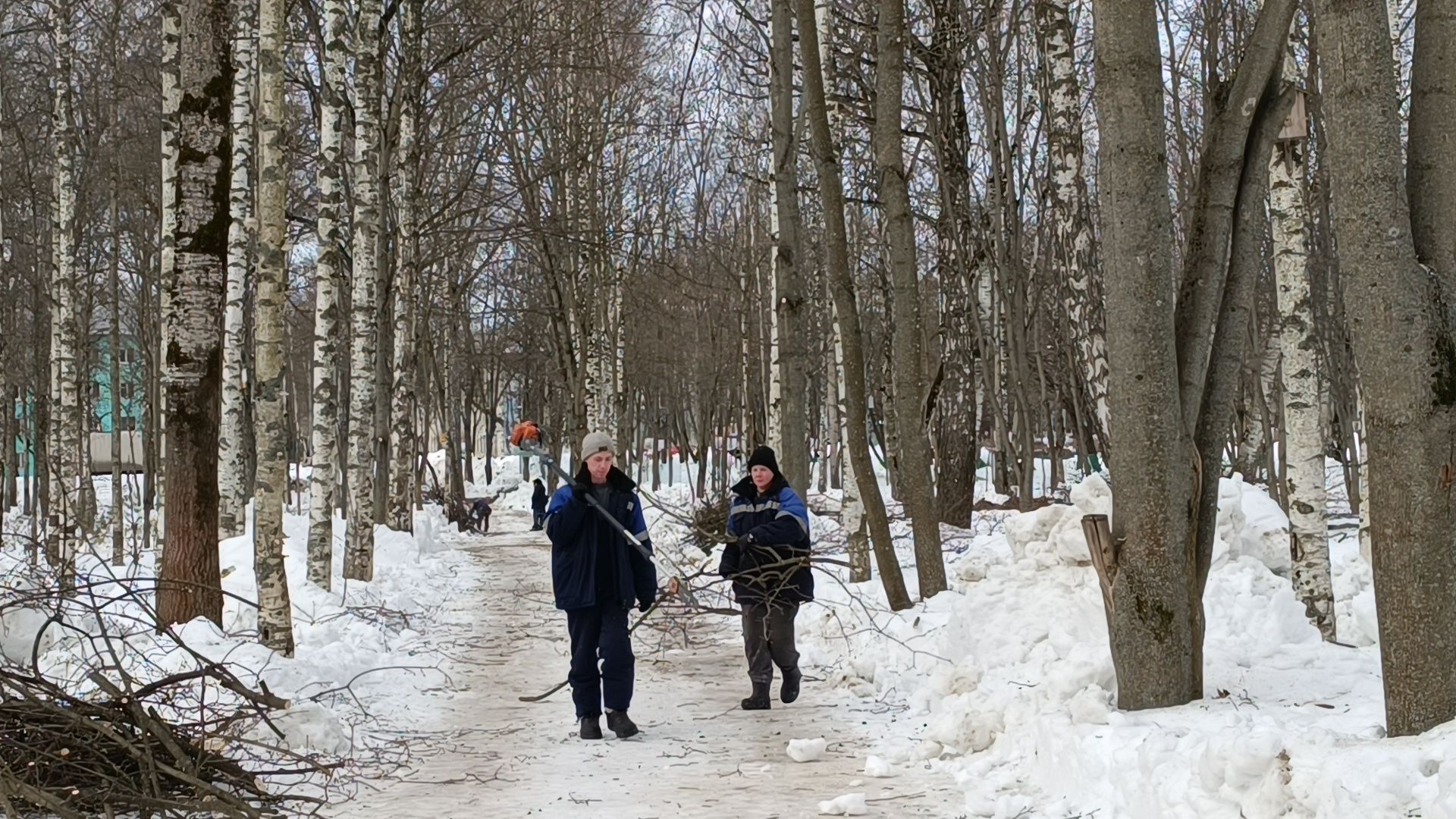 парк, реконструкция, лобня,