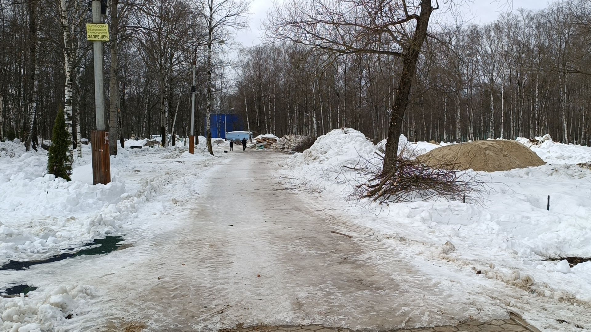 парк, реконструкция, лобня,