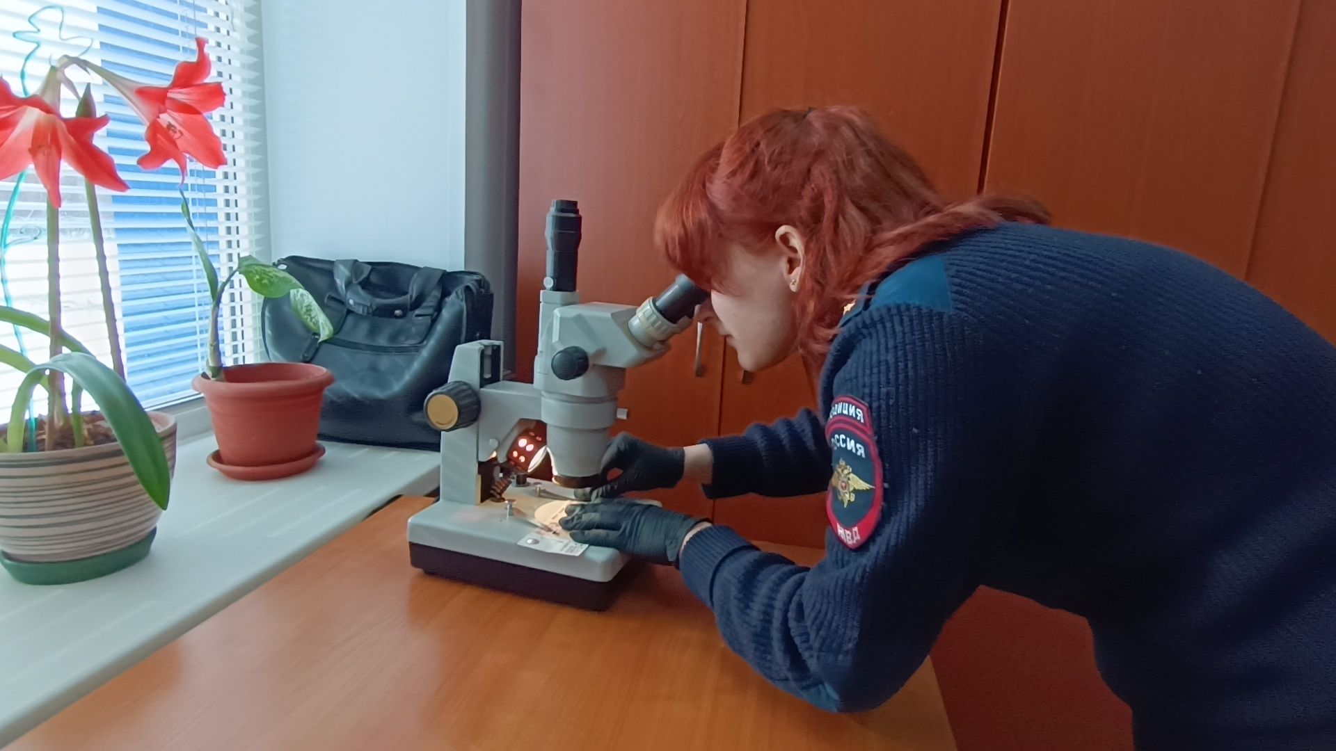 эксперт-криминалист, лобня, омвд,