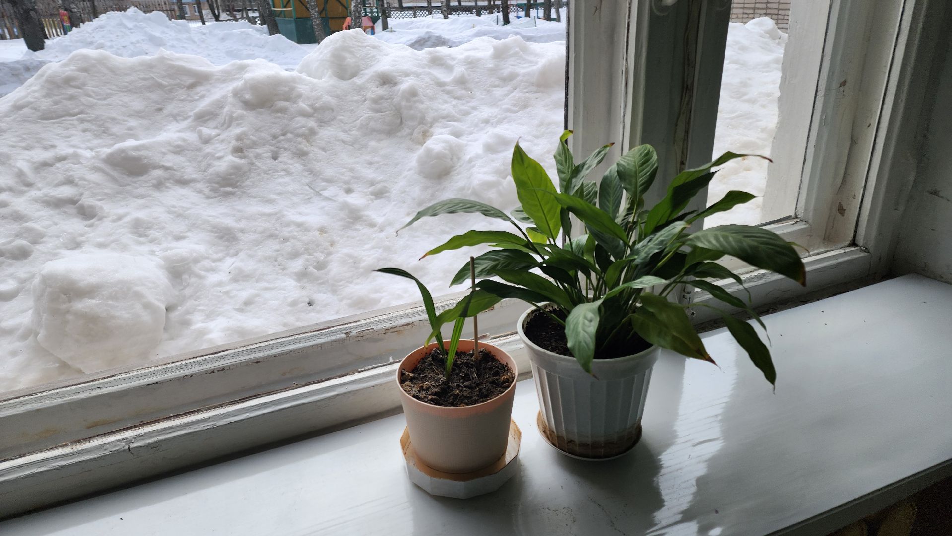 кашира, ожерелье, капитальный ремонт детского сада, капитальный ремонт школы, депутат государственной думы, перекрытия, гидроизоляция, штукатурка, школа 10,