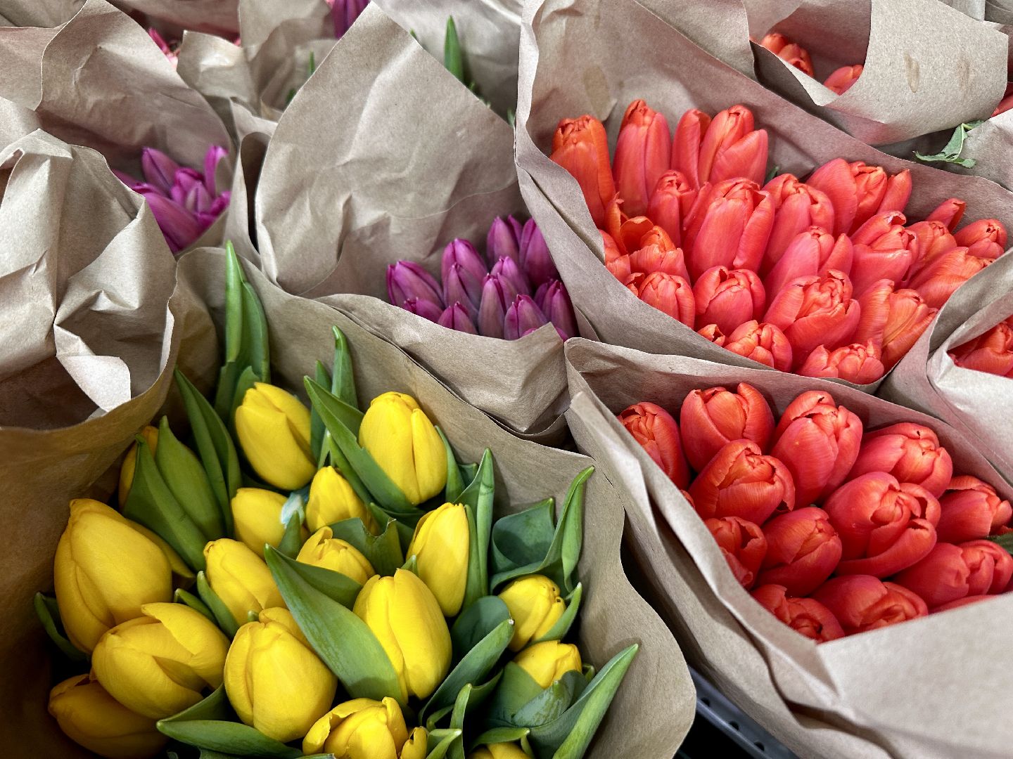 Клин, общество, цветы, советы, тренды, 8 марта,