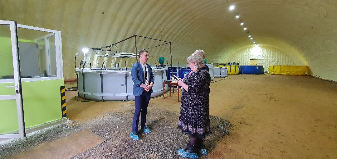 производство, Минсельхоз, грант, Домодедово