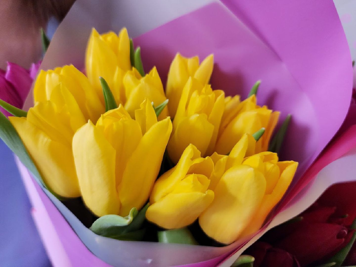 можайск, можайский городской округ, подмосковье, глава муниципалитета, встреча, женщины, многодетные мамы, активные жительницы, международный женский день, 8 марта, праздник,