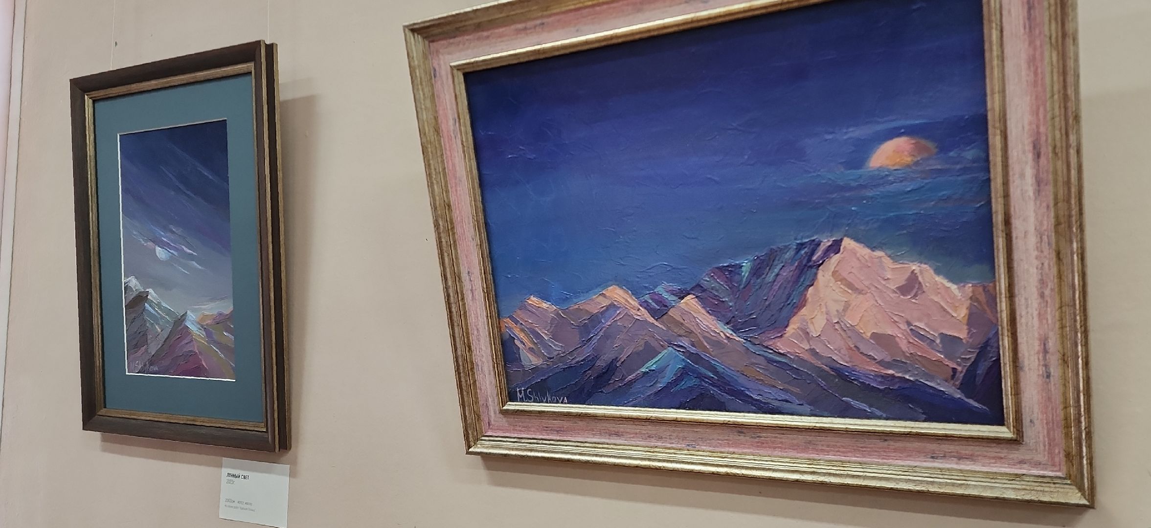 электросталь, культура, культура и туризм в подмосковье, культура подмосковья, мой город, житель города, путешествие, художник, художники подмосковья, выставка,