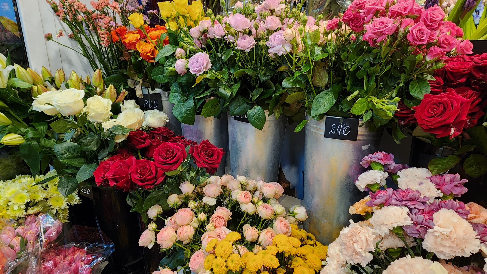 Солнечногорск, флористика, общество, 8 марта, цветы,