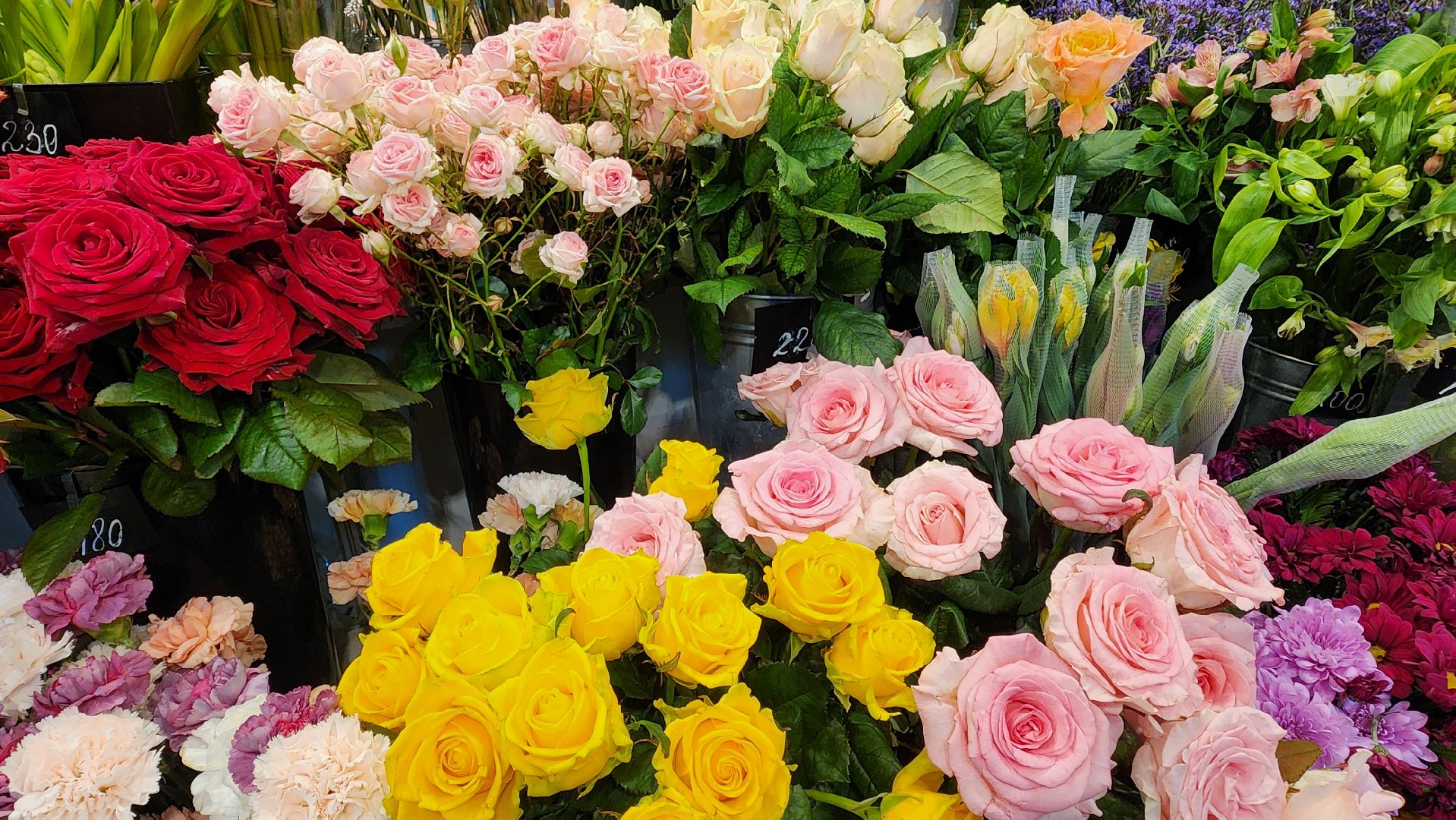 Солнечногорск, флористика, общество, 8 марта, цветы,