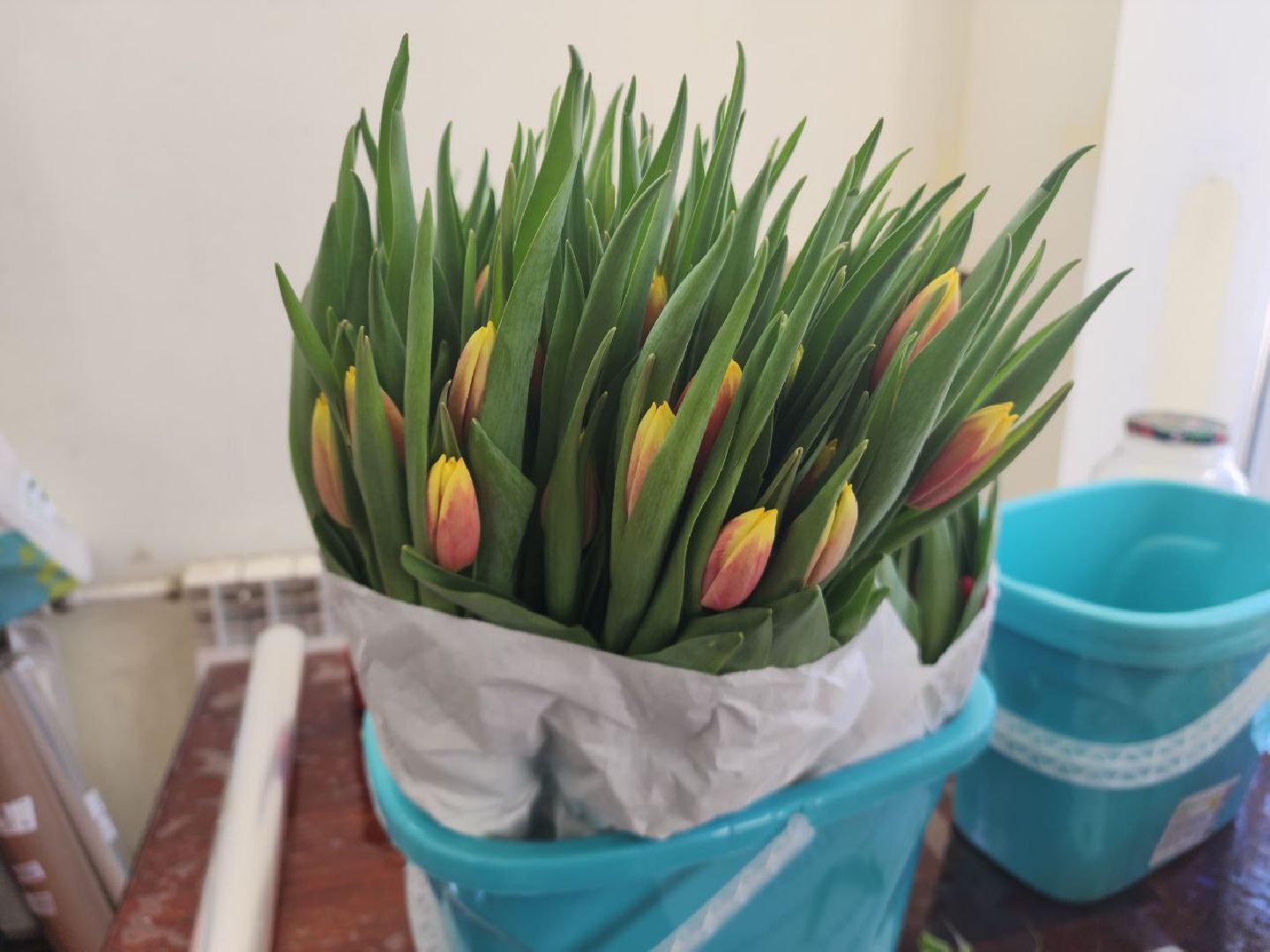 пущино, 8 марта,