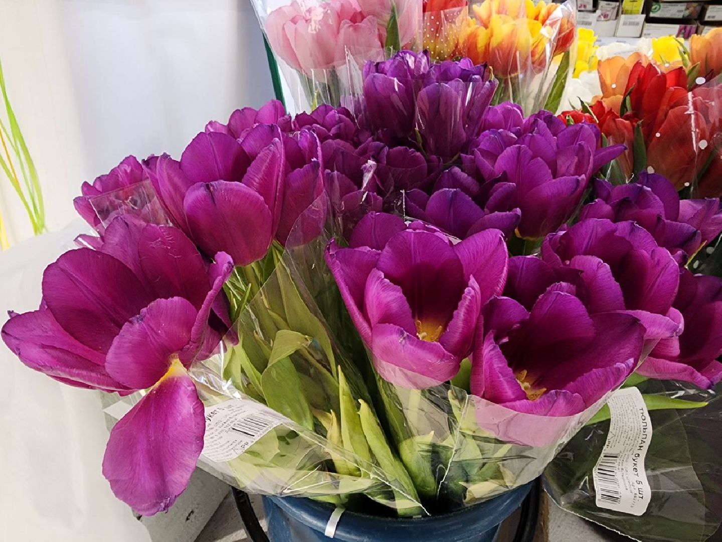 пущино, 8 марта,