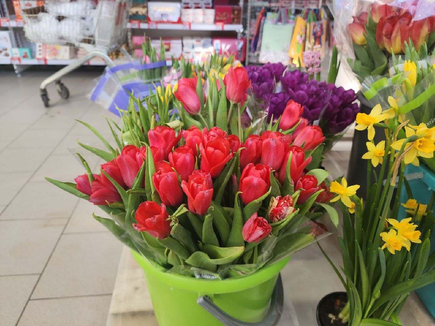 пущино, 8 марта,