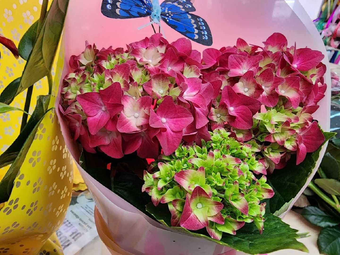 пущино, 8 марта,