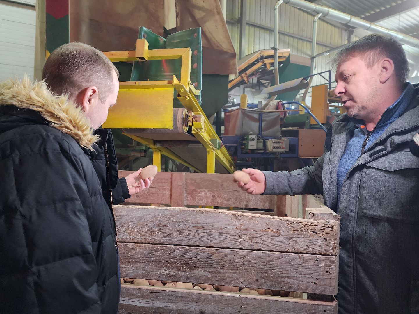 воскресенск, экономика, сельское хозяйство,