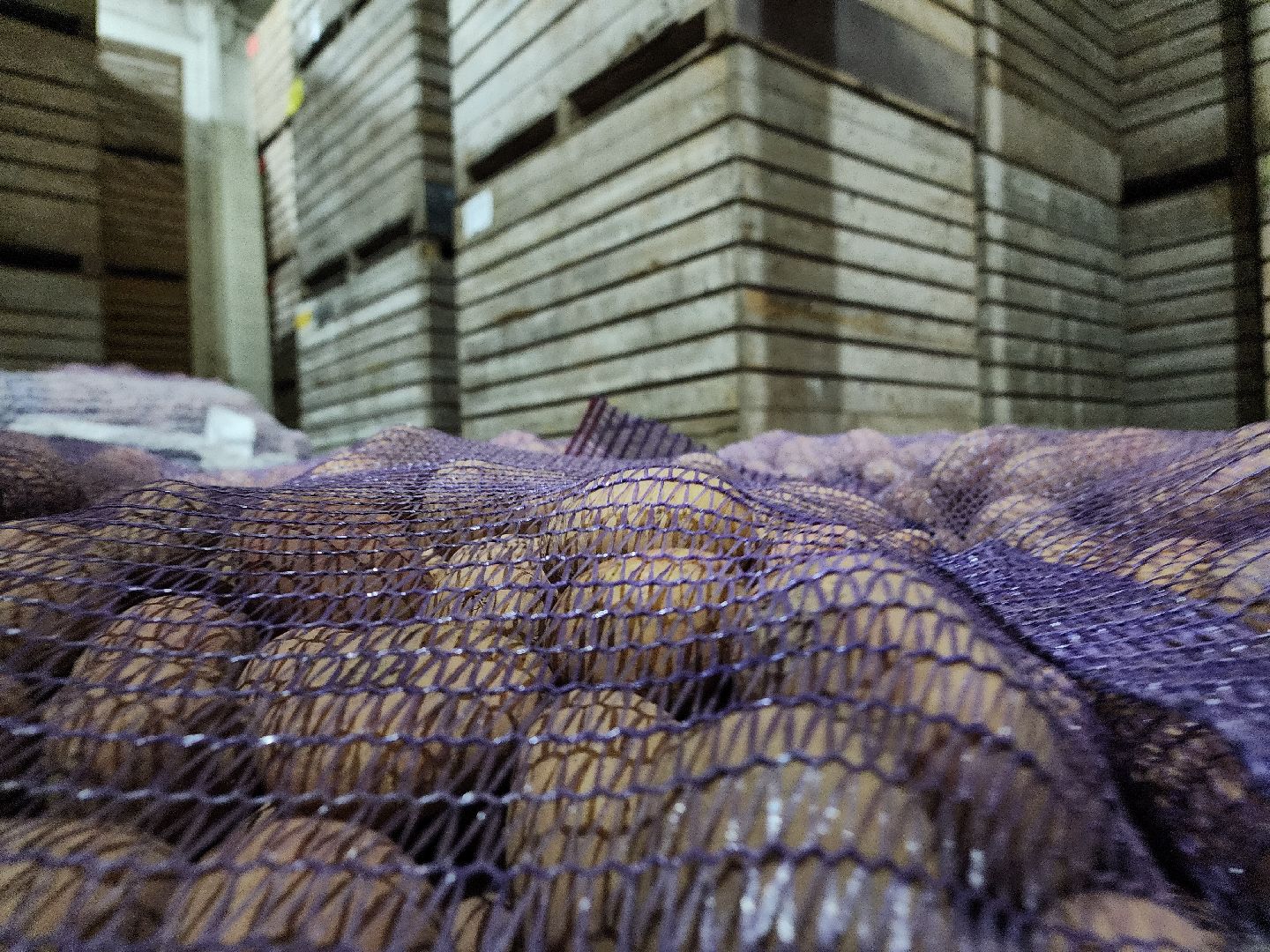 воскресенск, экономика, сельское хозяйство,