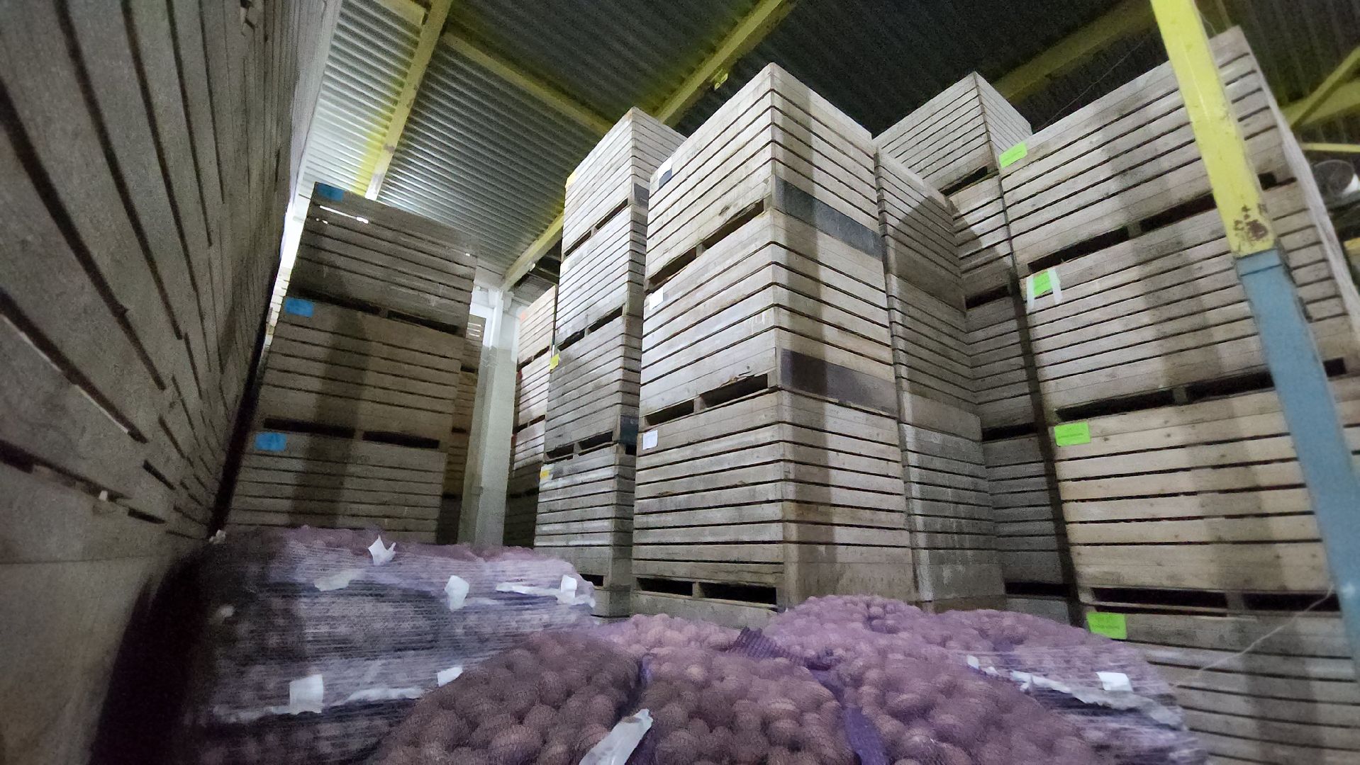 воскресенск, экономика, сельское хозяйство,