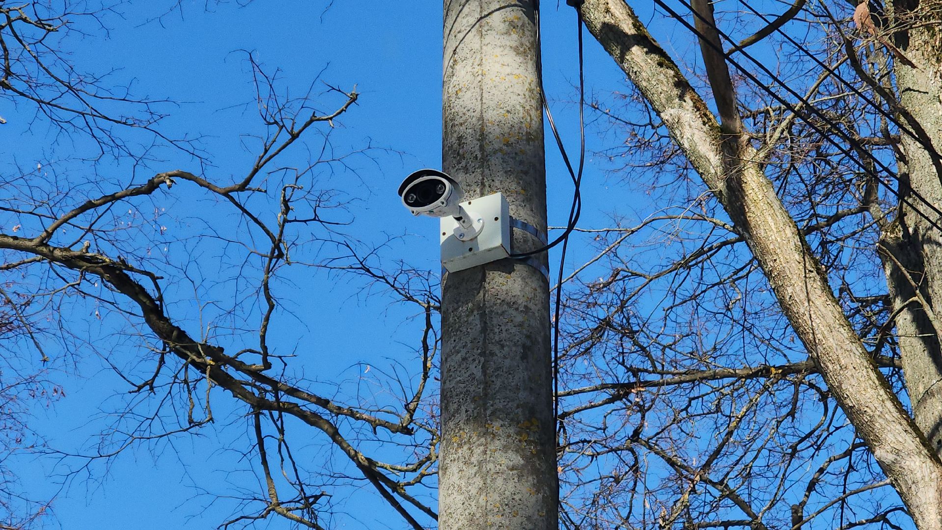 камеры наблюдения, безопасный регион, голосование, добродел,