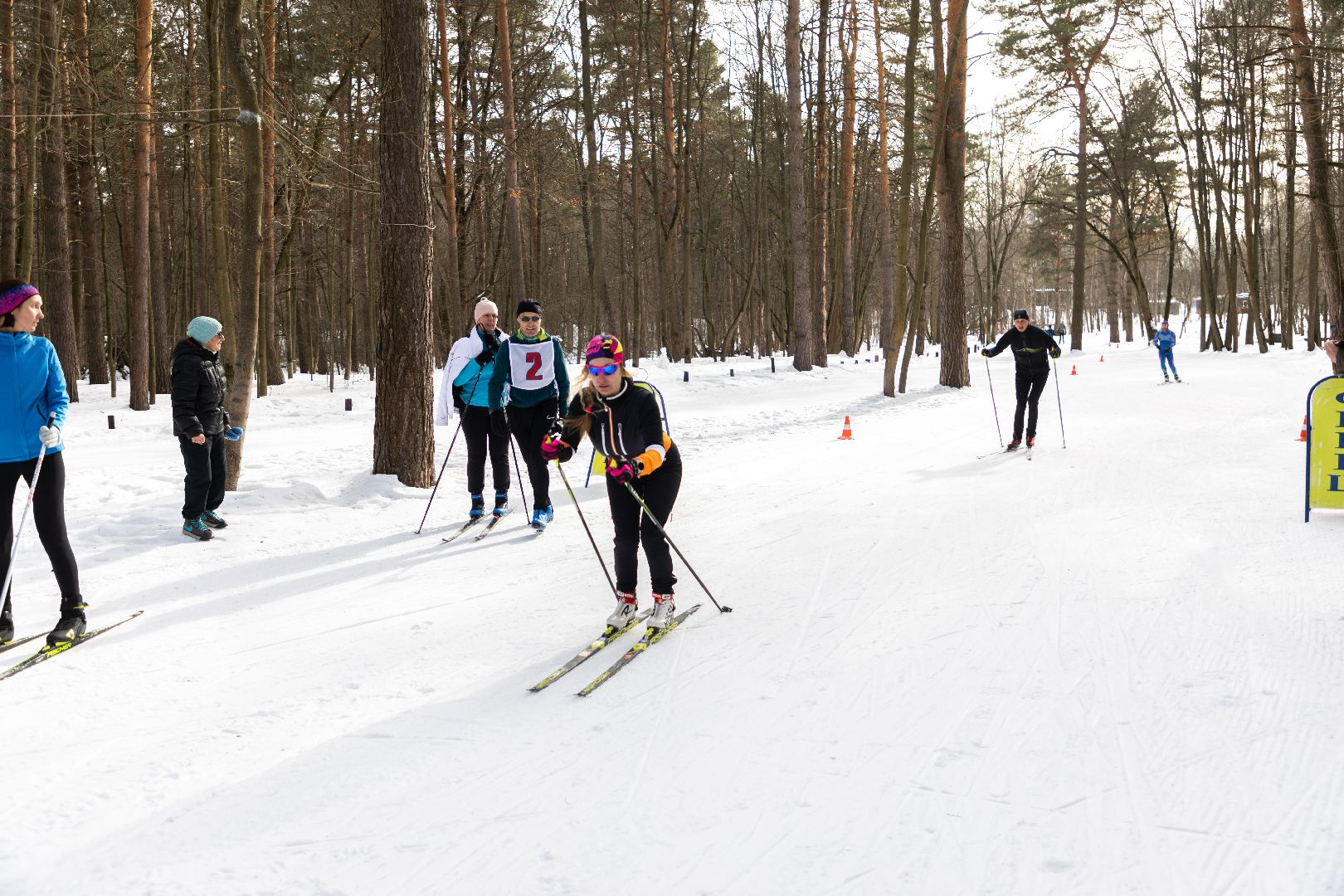 лыткарино, лыжи, трудовые коллективы,