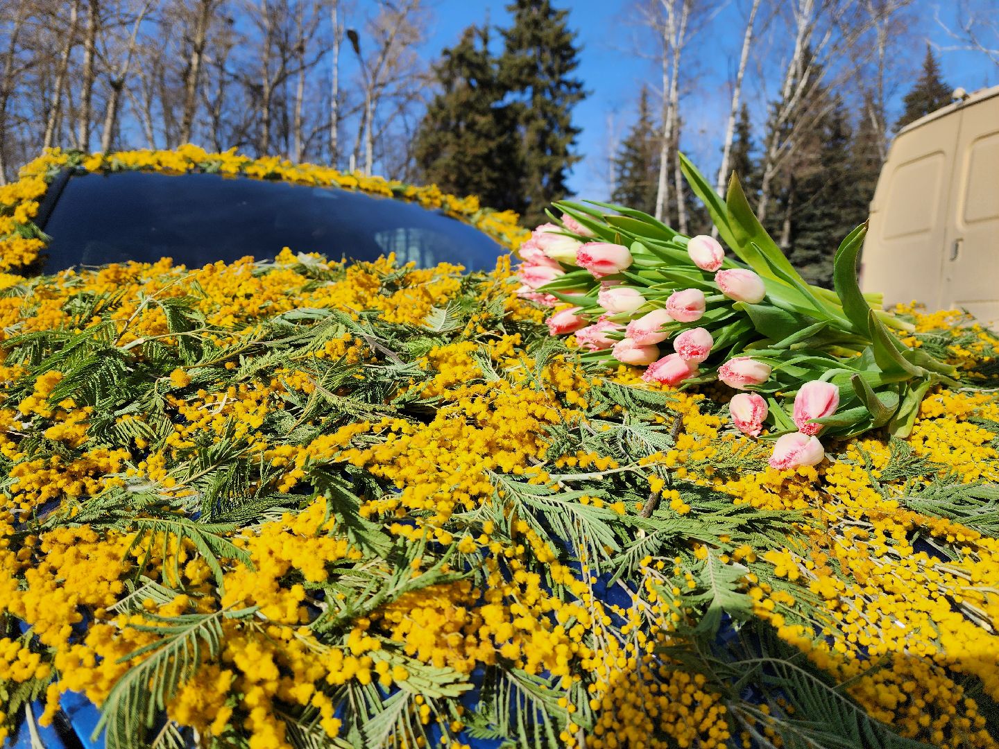 воскресенск, автомобиль, цветы, 8 марта, женщины, праздник,