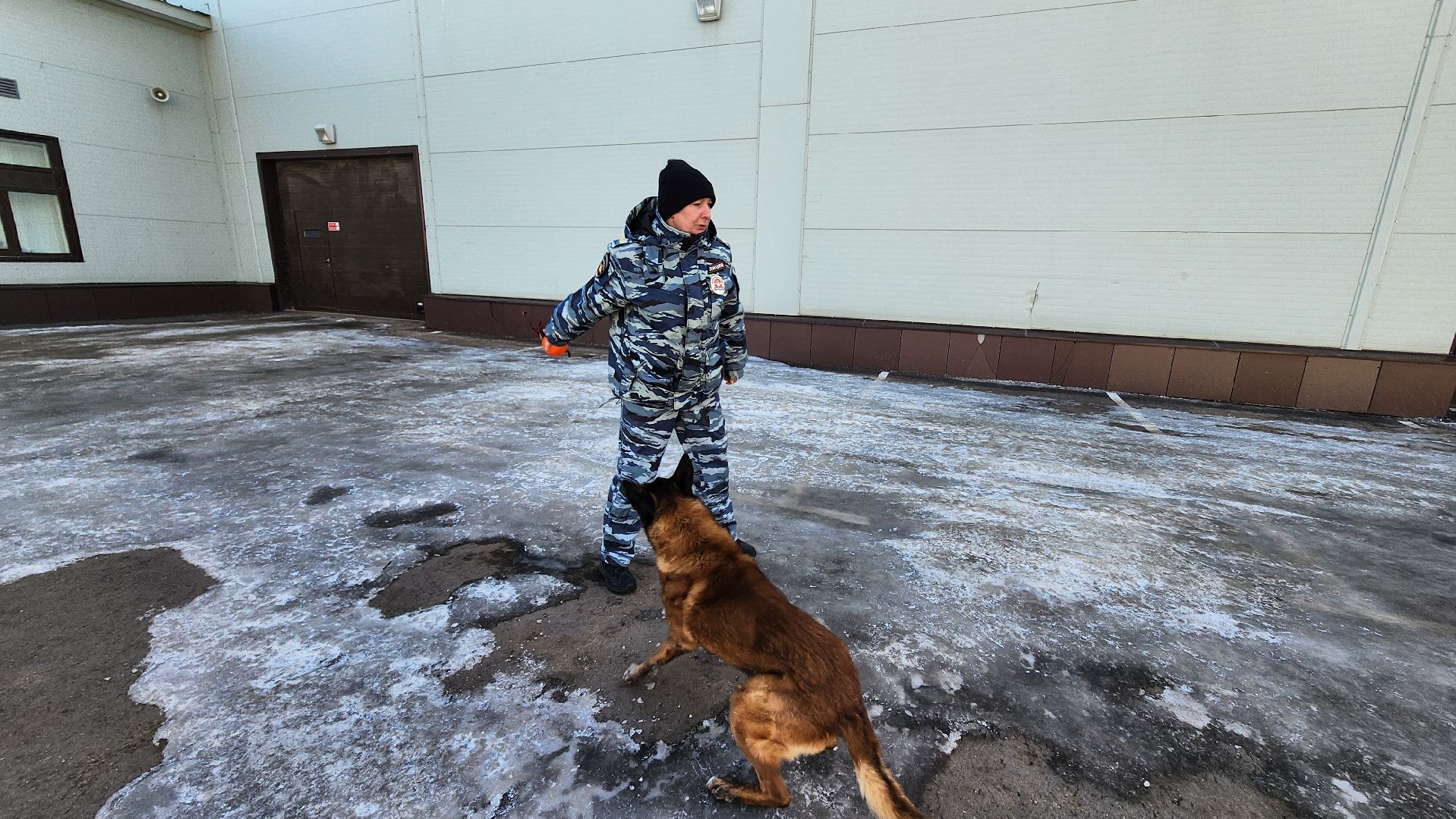 Солнечногорск, полиция, кинолог, история,