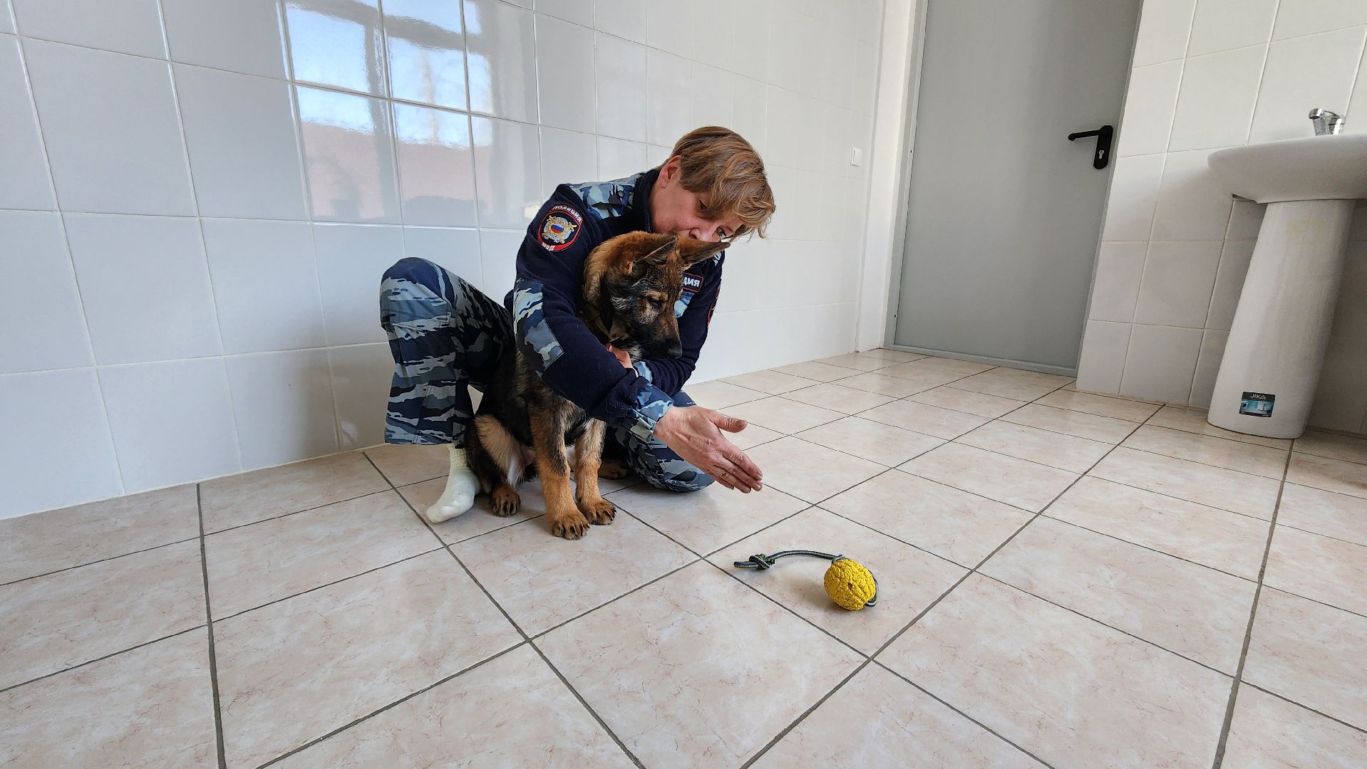 Солнечногорск, полиция, кинолог, история,